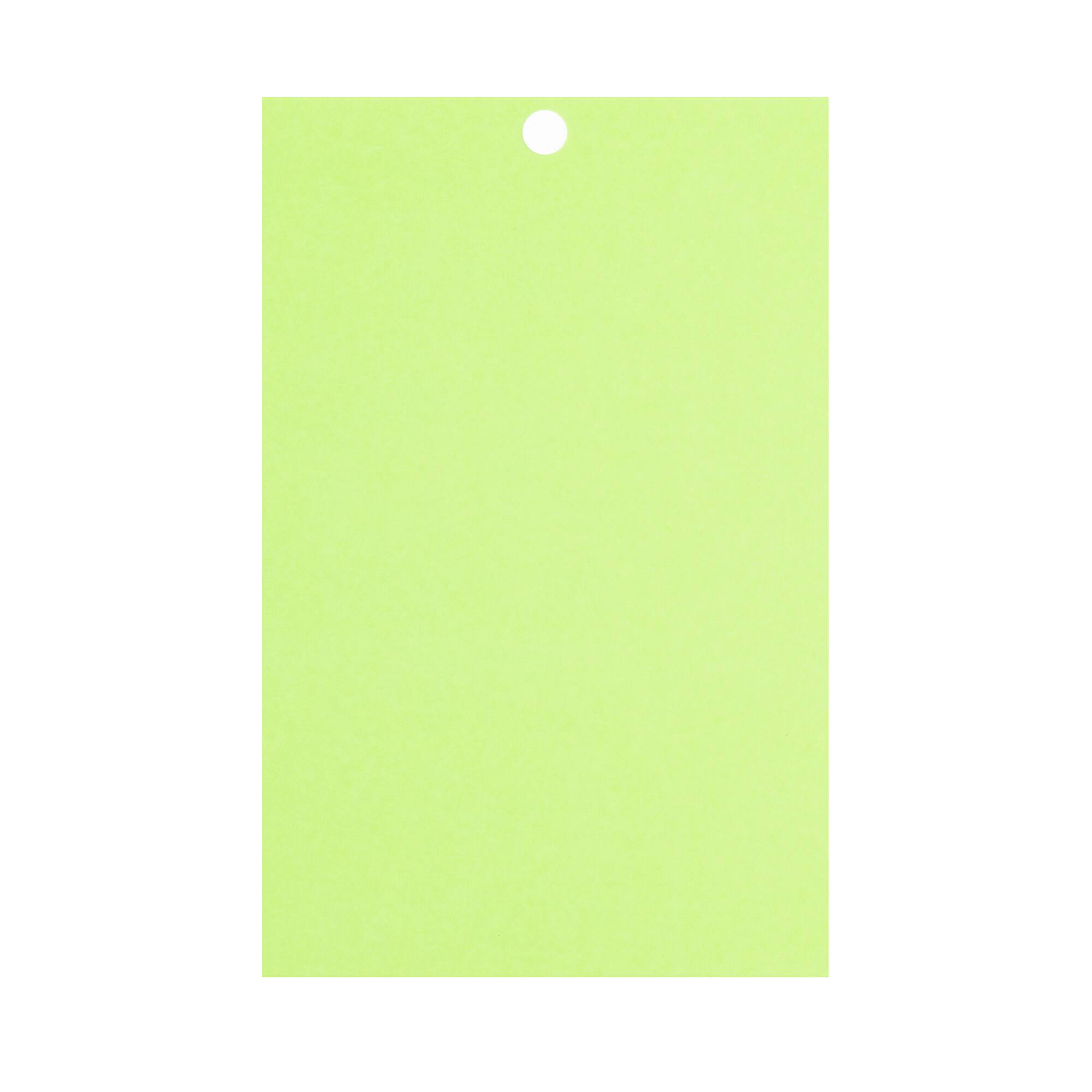 Feathered Green 4.5" x 7" Cardstock Paper by Recollections™, 100 Sheets